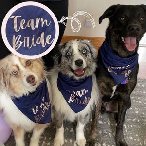 Team Bride Navy & Rose Gold Metallic Dog Bandana